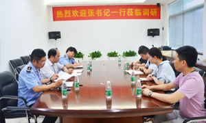 熱烈歡迎張書記一行蒞臨居然之家安徽分公司合肥長江東路店調(diào)研指導(dǎo)！